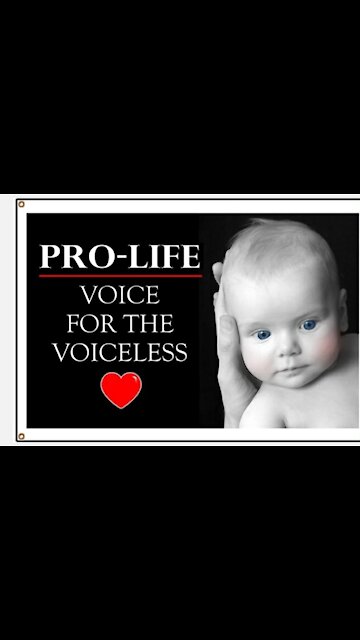 Prove you are Prolife!!