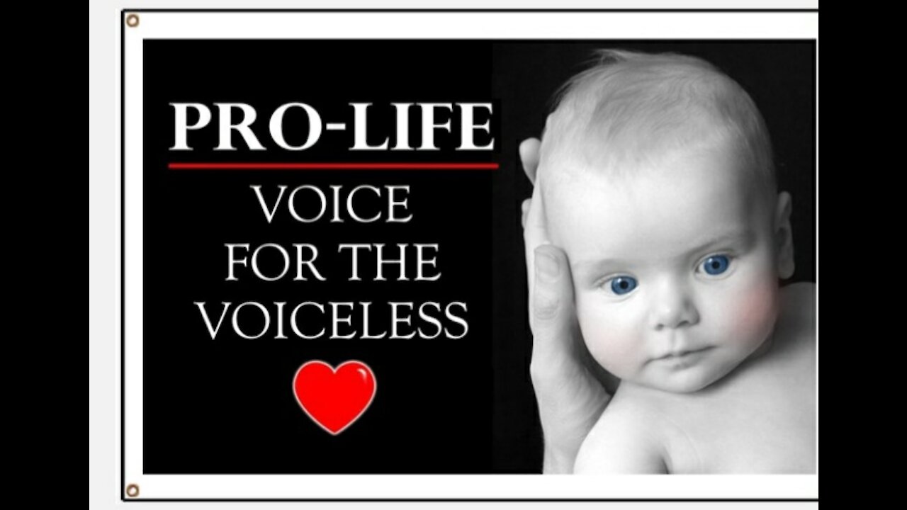 Prove you are Prolife!!