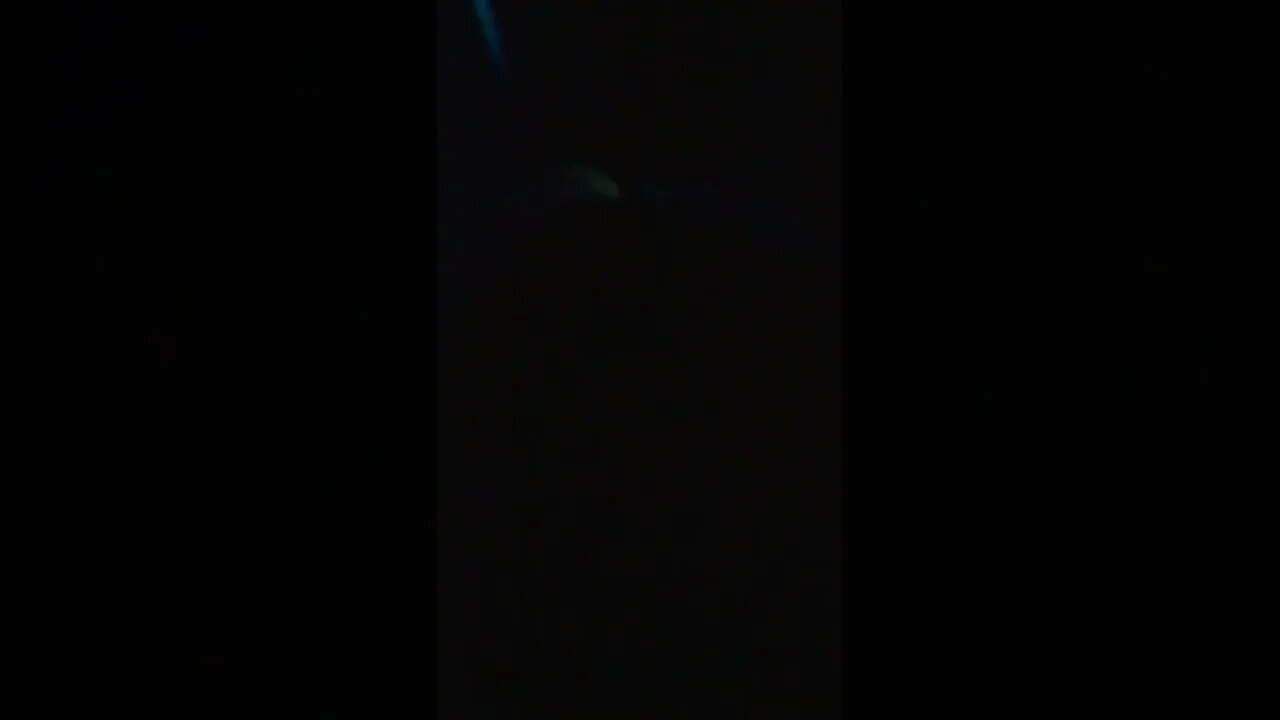 wakey wakey #youtubeshorts #shorts #prank