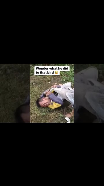 Wonder what he did to this bird 🐦