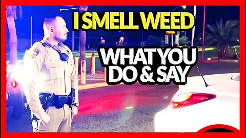 Cop: I Smell Marijuana. What you do & say