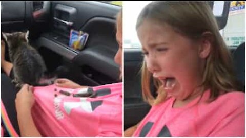 Gattino non si trattiene e la fa sulla padroncina