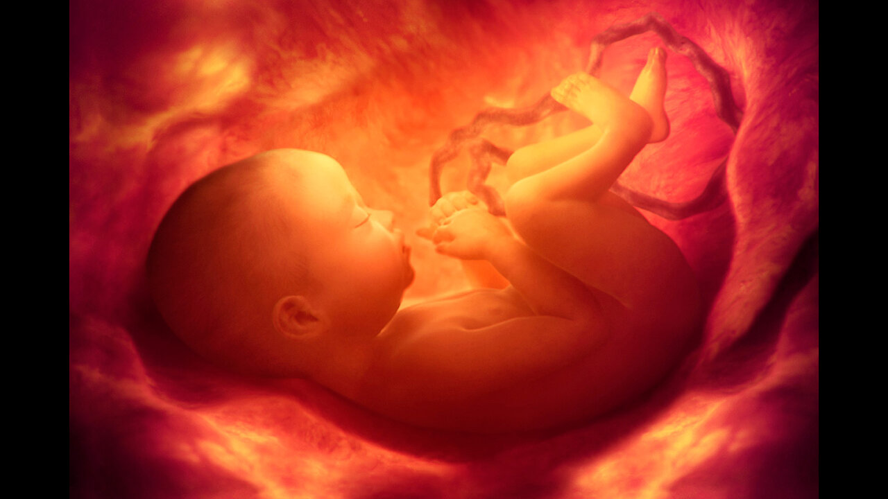 All lives matter to God especially those of both born and unborn children.