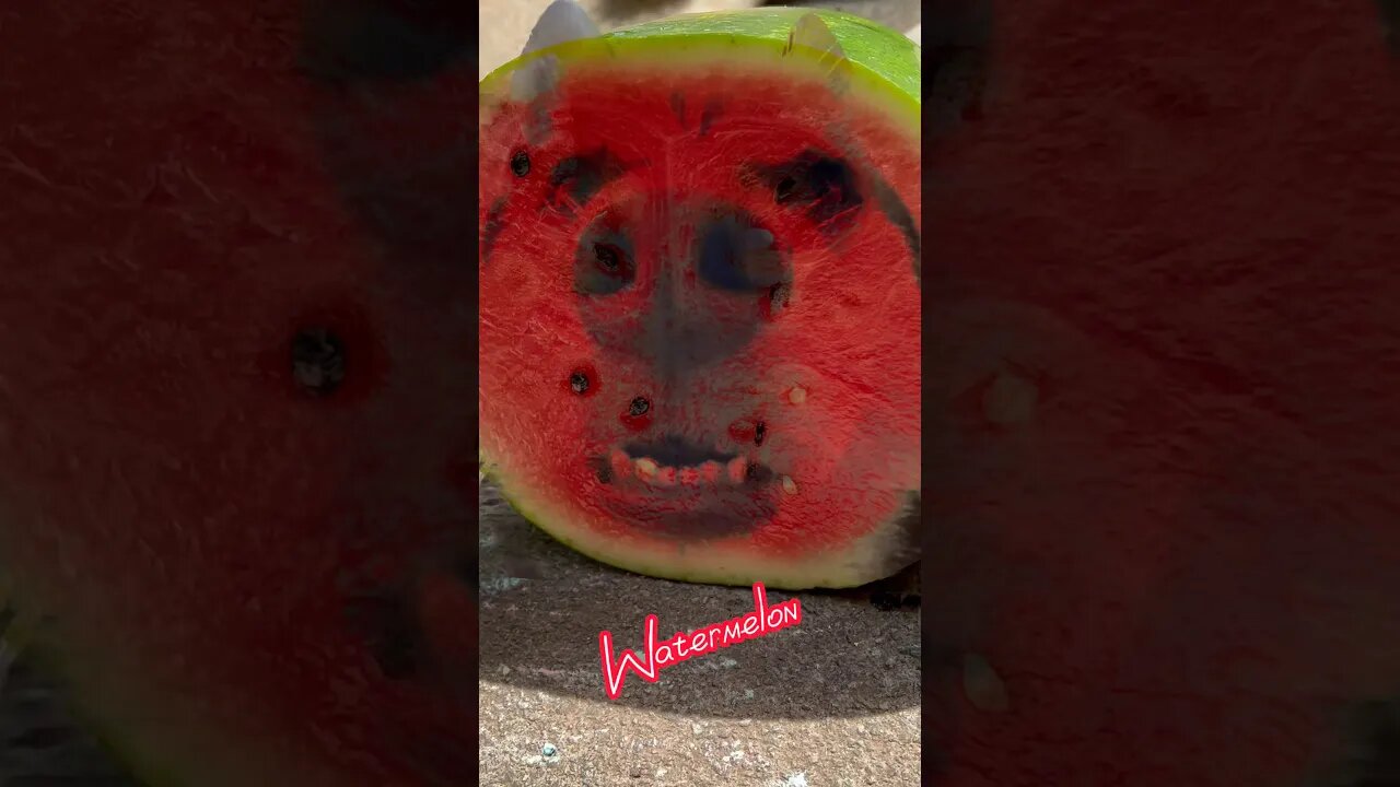 🍉