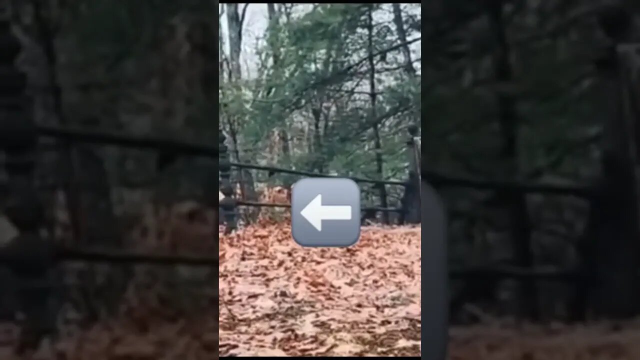 When you think you're "alone" at a Cemetery. full video on tiktok.