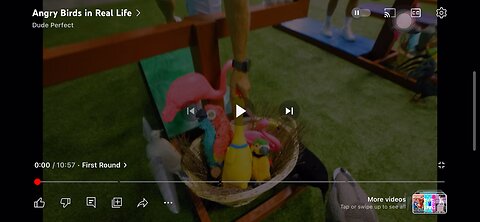 Anger birds in real life 👏🏻