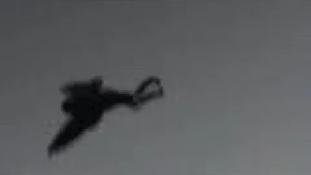 Mothman prophecies