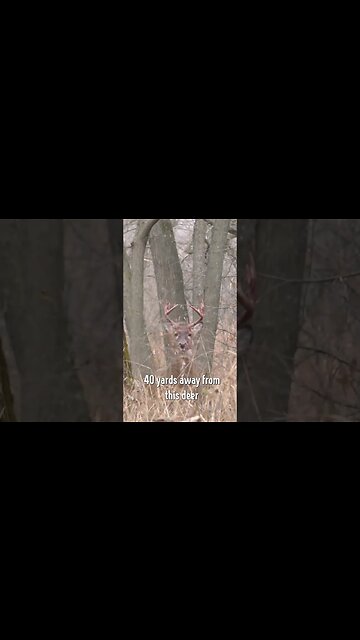 Aggressive buck faces off with hunter after attacking the hunters harvest #deerhunting #deer #shorts