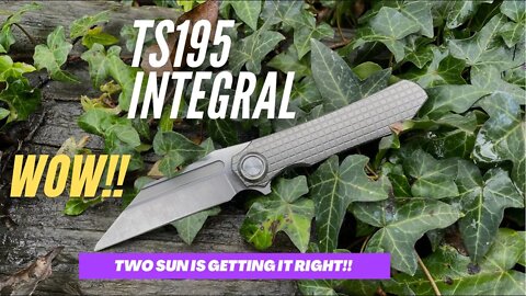 TWO SUN TS195 INTEGRAL REVIEW