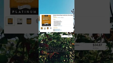 Barlean's, Stomach Repair, Vanilla Chai , 6 35 oz 180 g