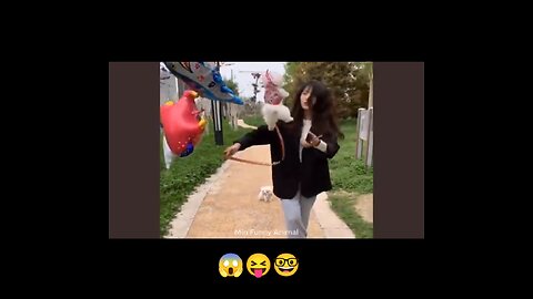 Danger 😱 shoot cat 🐱 and dog 🐕 #cat , #dog #video