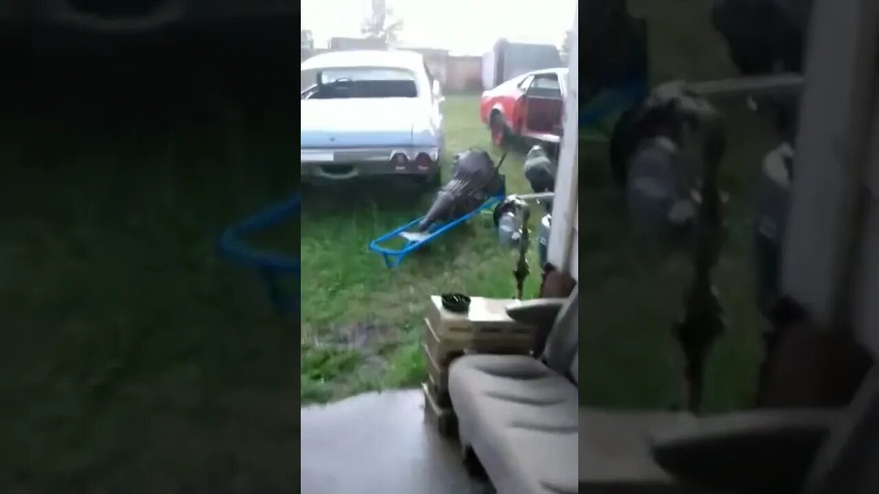 pitbull vs rain. rain 1 pitbull 0 #pitbull #shorts