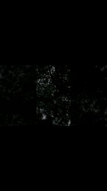 Vanderbilt University Medical Center announced it is suspending all transgender surgeries…