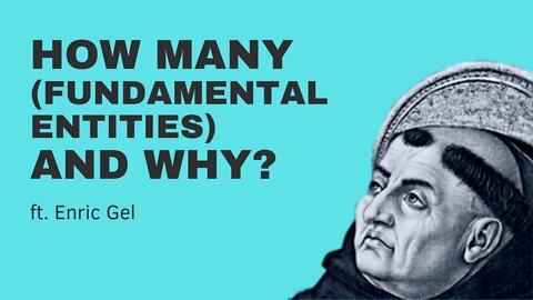 How Many (Fundamental Entities) and Why w/ Enric Gel