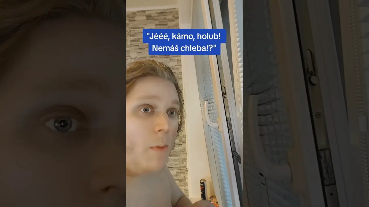 Viděli jsme s KÁMOŠEM za oknem HOLUBA! 🐦 Zeptal jsem se ho, jestli nemá CHLEBA! Jeho REAKCE!?