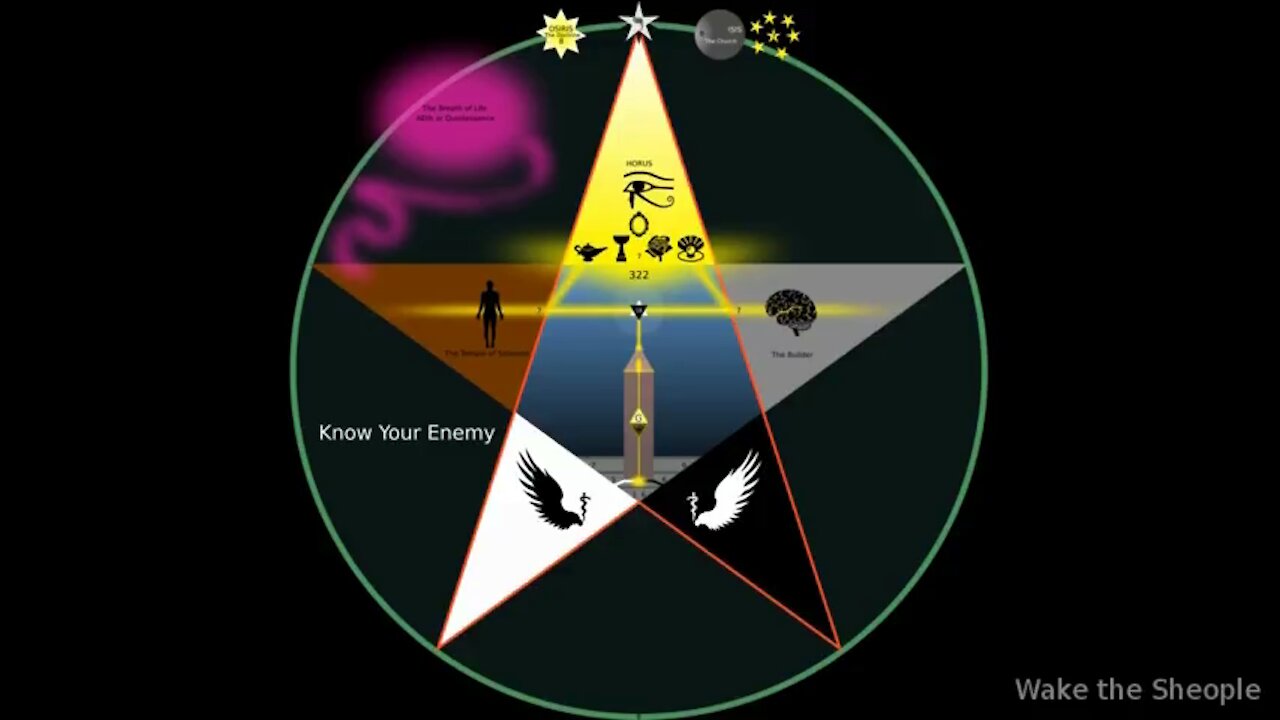 VIRUSES AND SICKNESS - THE EVIDENCE