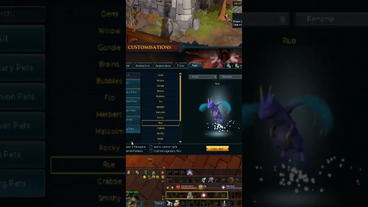 How to Summon your Pets : RuneScape TIps and Tricks 131