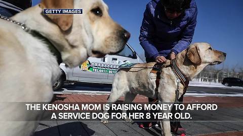 Kenosha mother hopes service dog will keep her son alive