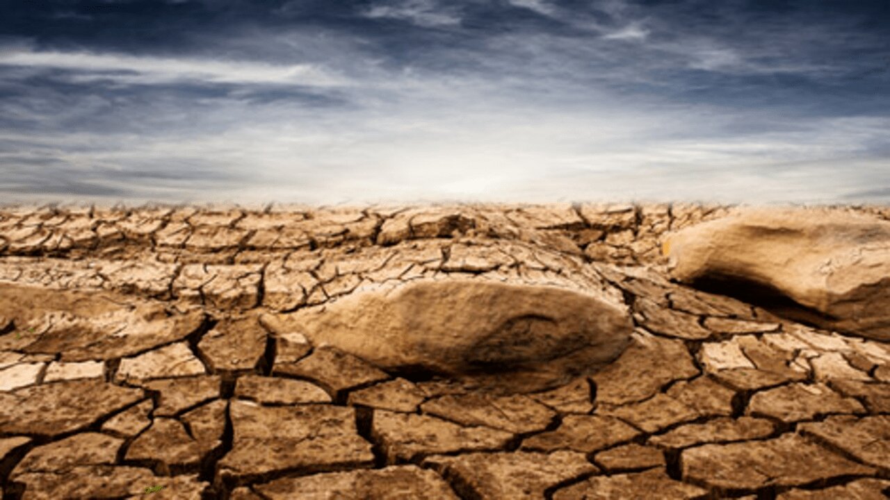 SEVERE DROUGHT AND “DUST BOWL CONDITIONS” THREATEN TO CREATE A DISASTROUS WINTER WHEAT HARVEST