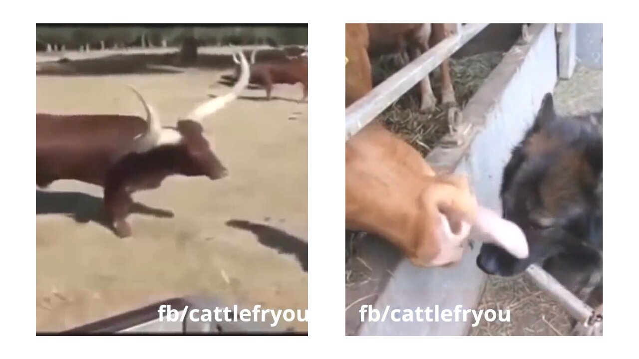 Can you predict them?