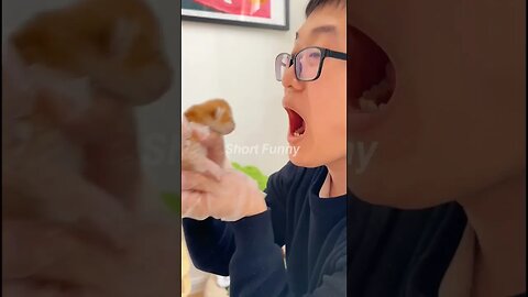 watch End 🤣#shorts #youtubeshorts #funny #baby #comedy #youtubeshorts