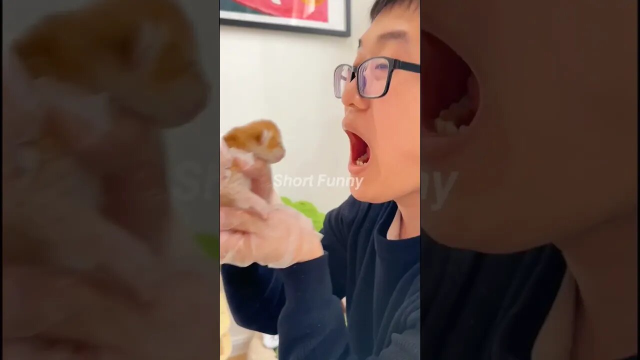 watch End 🤣#shorts #youtubeshorts #funny #baby #comedy #youtubeshorts