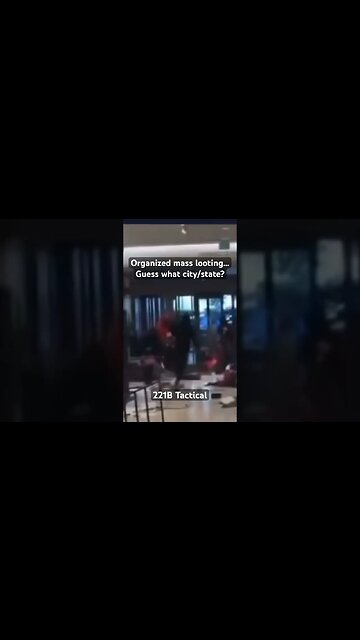 Why do you think this is being allowed? #looting #shoplifting #police #insanity #viral