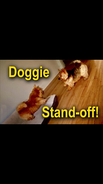 The Art of Teasing Each Other 🤗