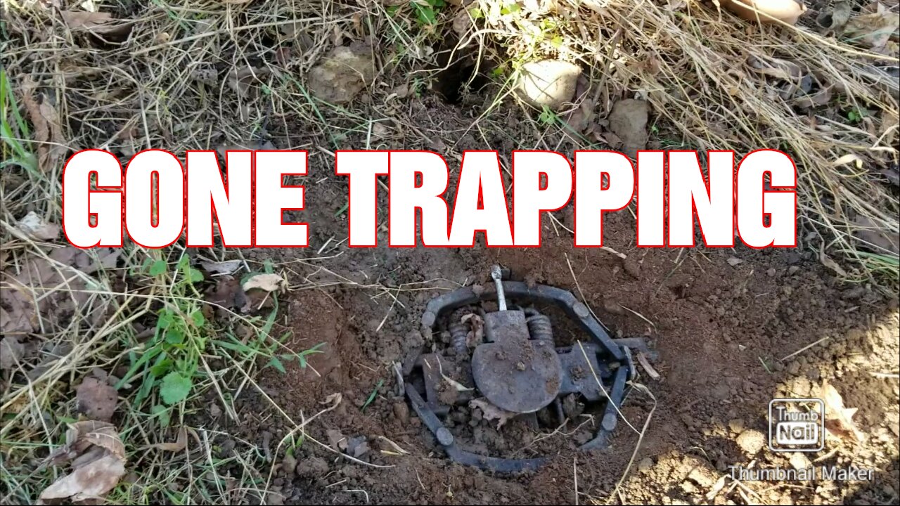 Setting traps in WV