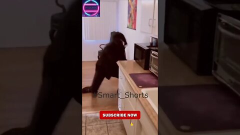 Does he want to be a john wick or what but why the refrigerator 😂 #shorts