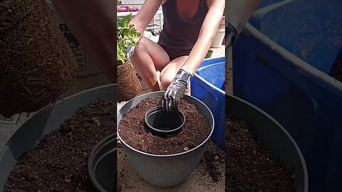 Planting Hack