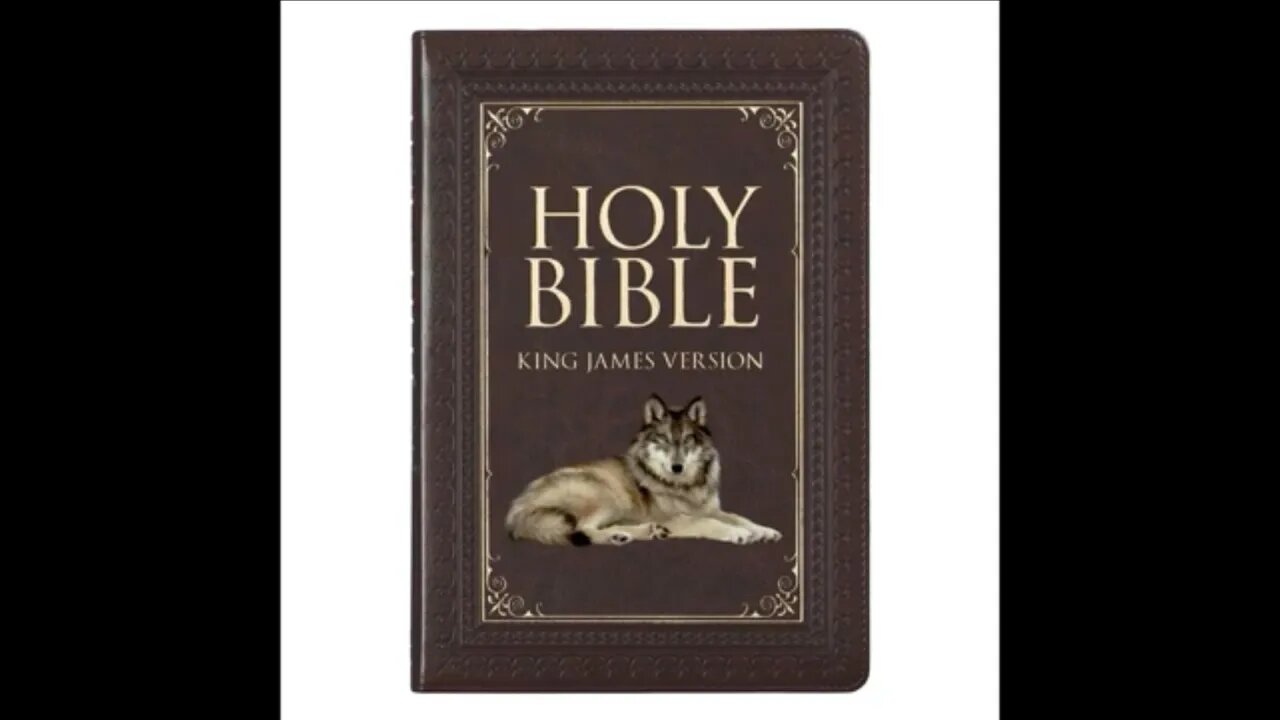 THE WOLF VERSION ๐read below ๐