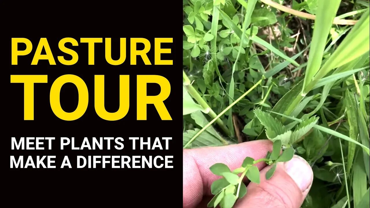 PASTURE TOUR: Meet Plants That Make a Difference