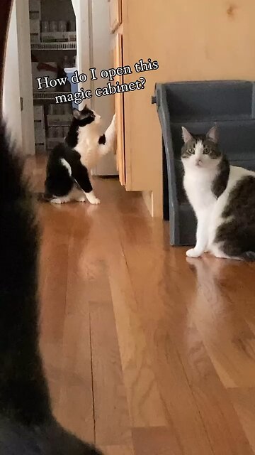 A lesson in determination