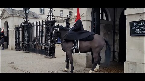 Horse restless Horse Guard shows god control #horseguardsparade