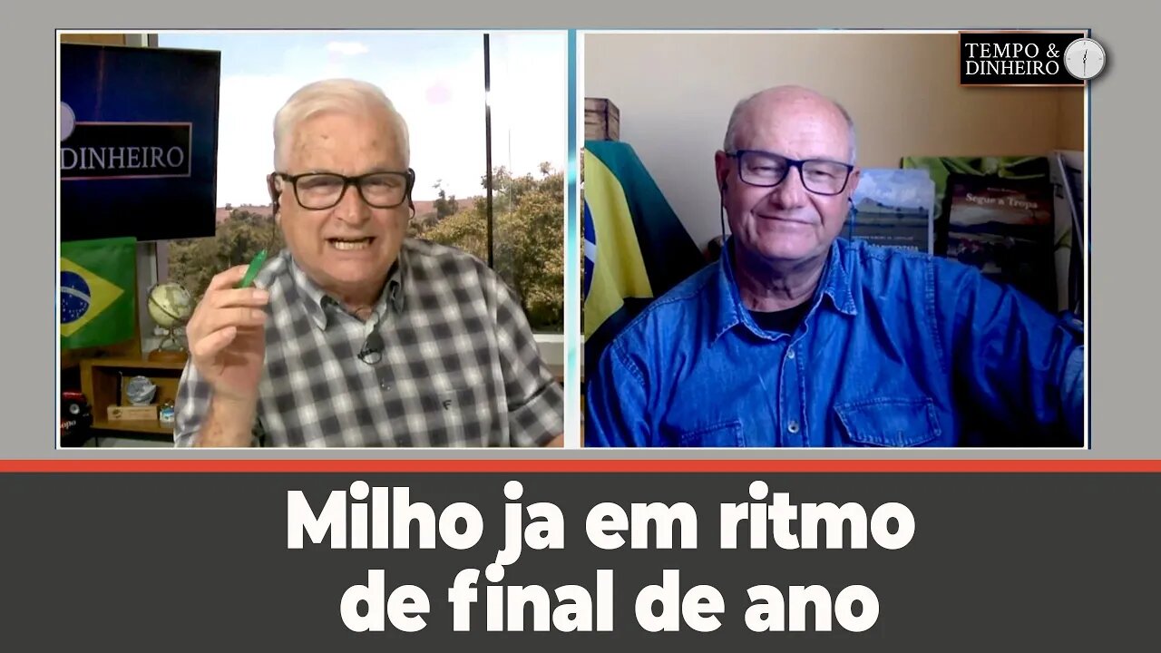 Milho ja em ritmo de final de ano