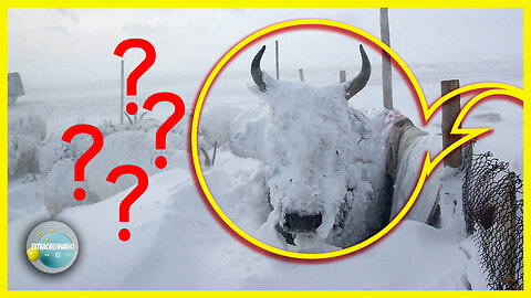 ESTOS SON LOS PAISES MÁS FRIOS DEL MUNDO