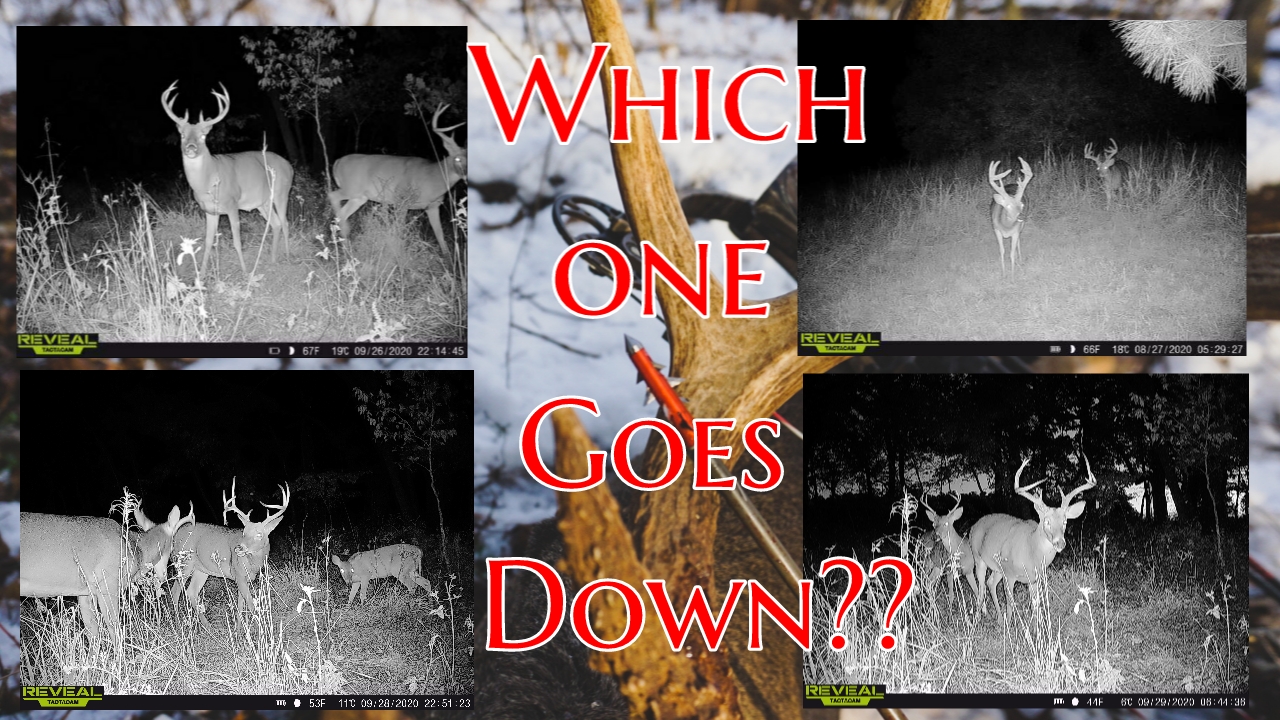 S3E1 Big Buck Down in Oklahoma on opening day! Which one will it be?????