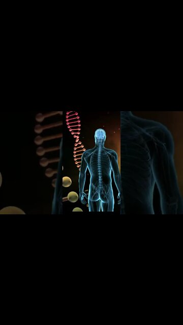 Boost Brain's Neuronal Connections To Improve Your Memory!