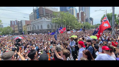 Australian Anthem Violin - Freedom 06/11/2021