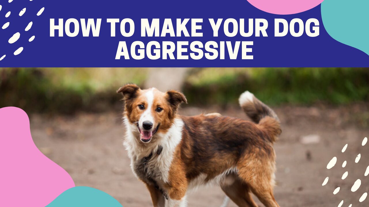 Make Dogs Become Fully Aggressive With Few Simple Tips