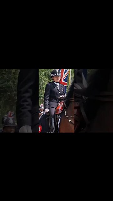 Police horse gets a little bit spooked #buckinghampalace
