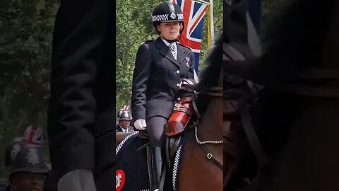 Police horse gets a little bit spooked #buckinghampalace
