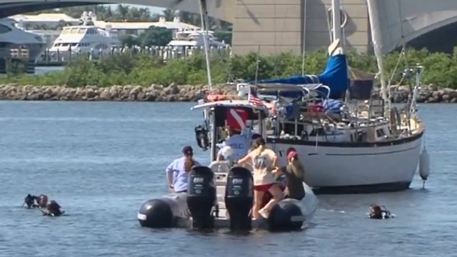 Weird finds during Intracoastal cleanup