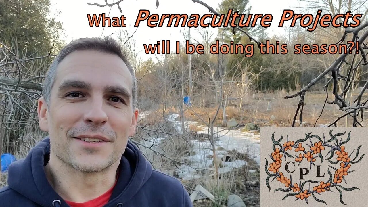 Permaculture projects coming this year to my food forest