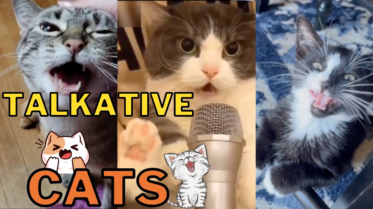 Talkative Cats Compilation - Mew Mew ASMR That Will Make Your Caturday Awesome. SOUND UP