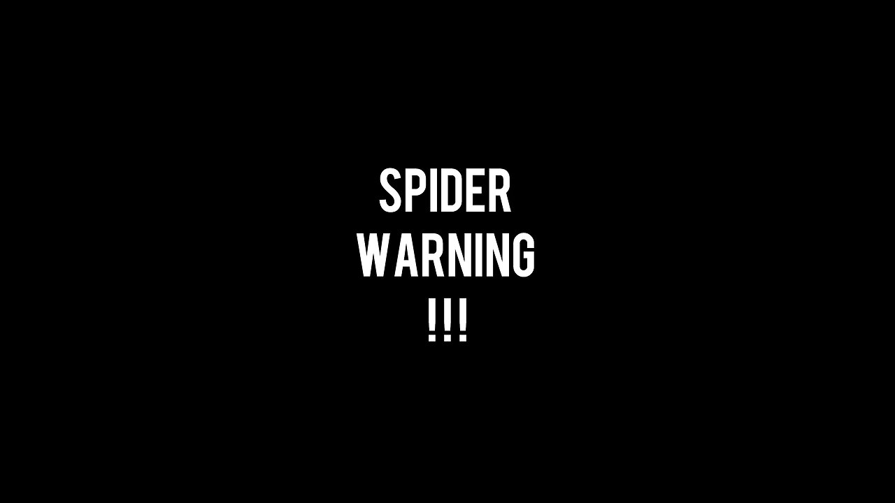 Didn’t see the spider !!
