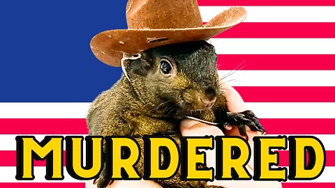 A Squirrel’s Life Matters, Actually – The State’s Summary Execution Of Peanut