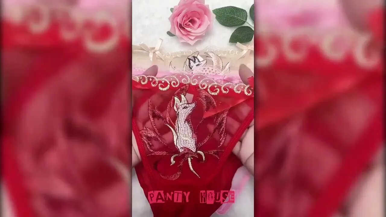 Women Bikini Transparent Panty 👙| Cute Lacy Panty 👙| Panty Collection 👙 Part - 19 | Panty House 👙