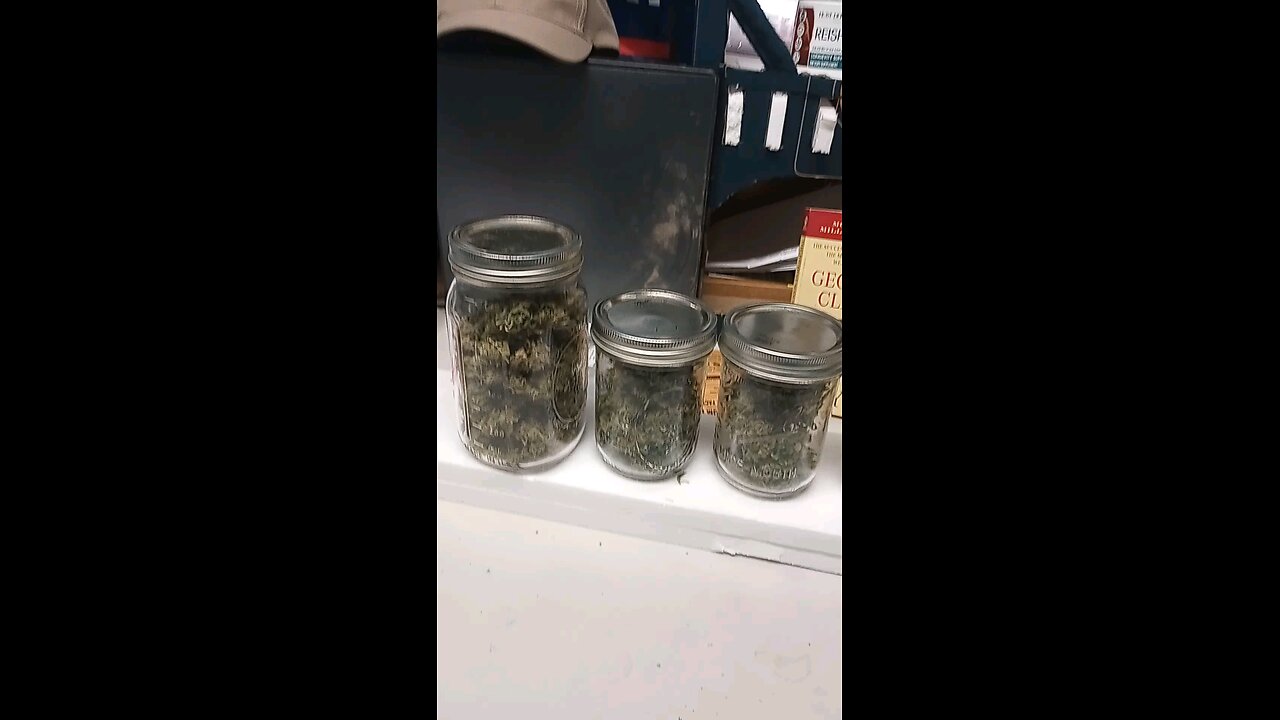 marijuana stocks. the best weed.